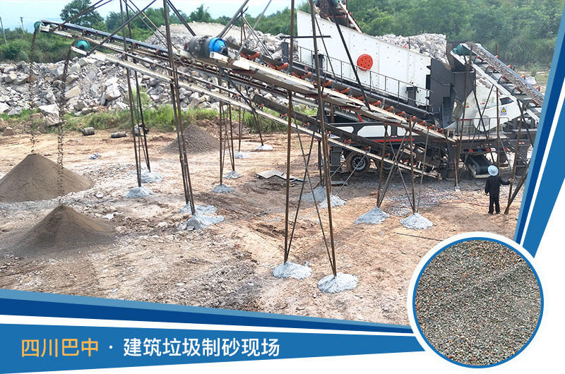 �Ĵ����н�������������ɳ��ҵ�ֳ�