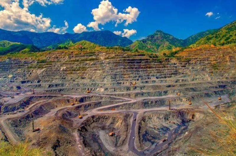 ��֦�����Ѵ�����β��