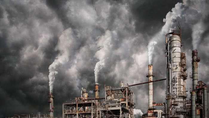 ������Ⱦ����