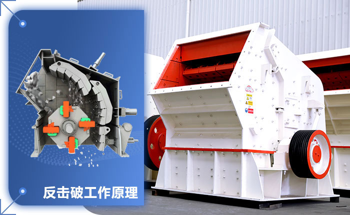 ����ʽ�����