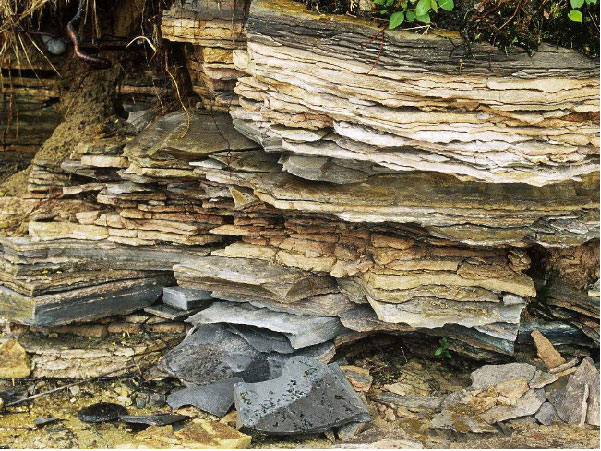 页岩陶粒砂生产线设备有哪些?