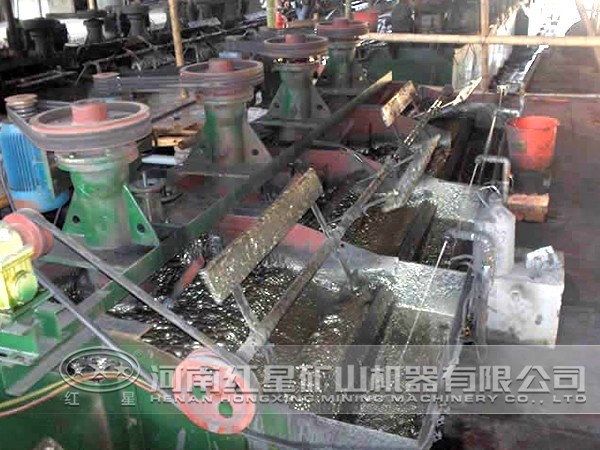 ѡ����������������